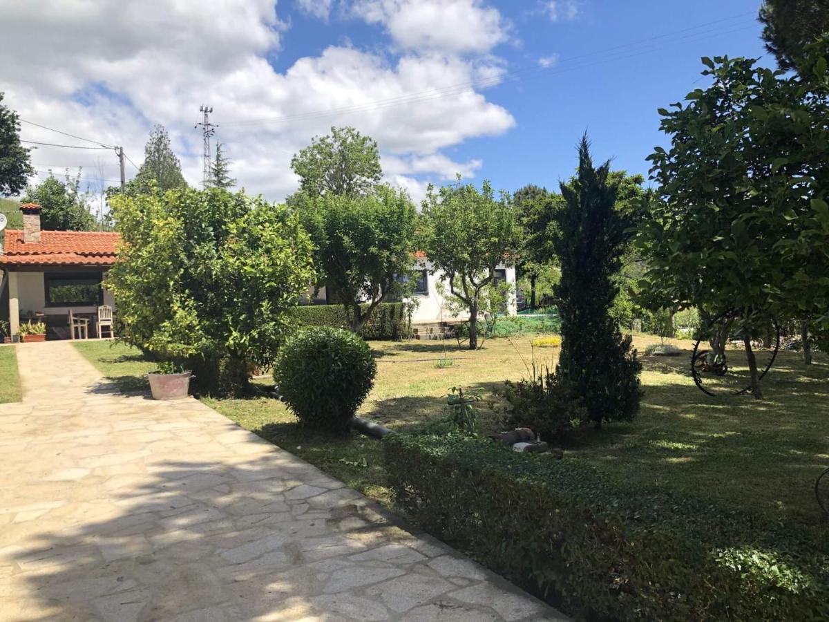 Casas Viriatus - Turismo Rural Паредес де Коура Екстериор снимка